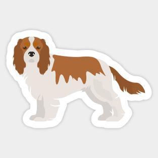 Cavalier King Charles Spaniel Sticker